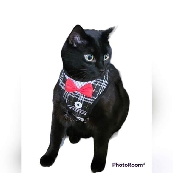 **3/$25**elegant Cat Dog Harness Vest with Leash Bow Tie Tuxedo Style Adjustable - Picture 1 of 4
